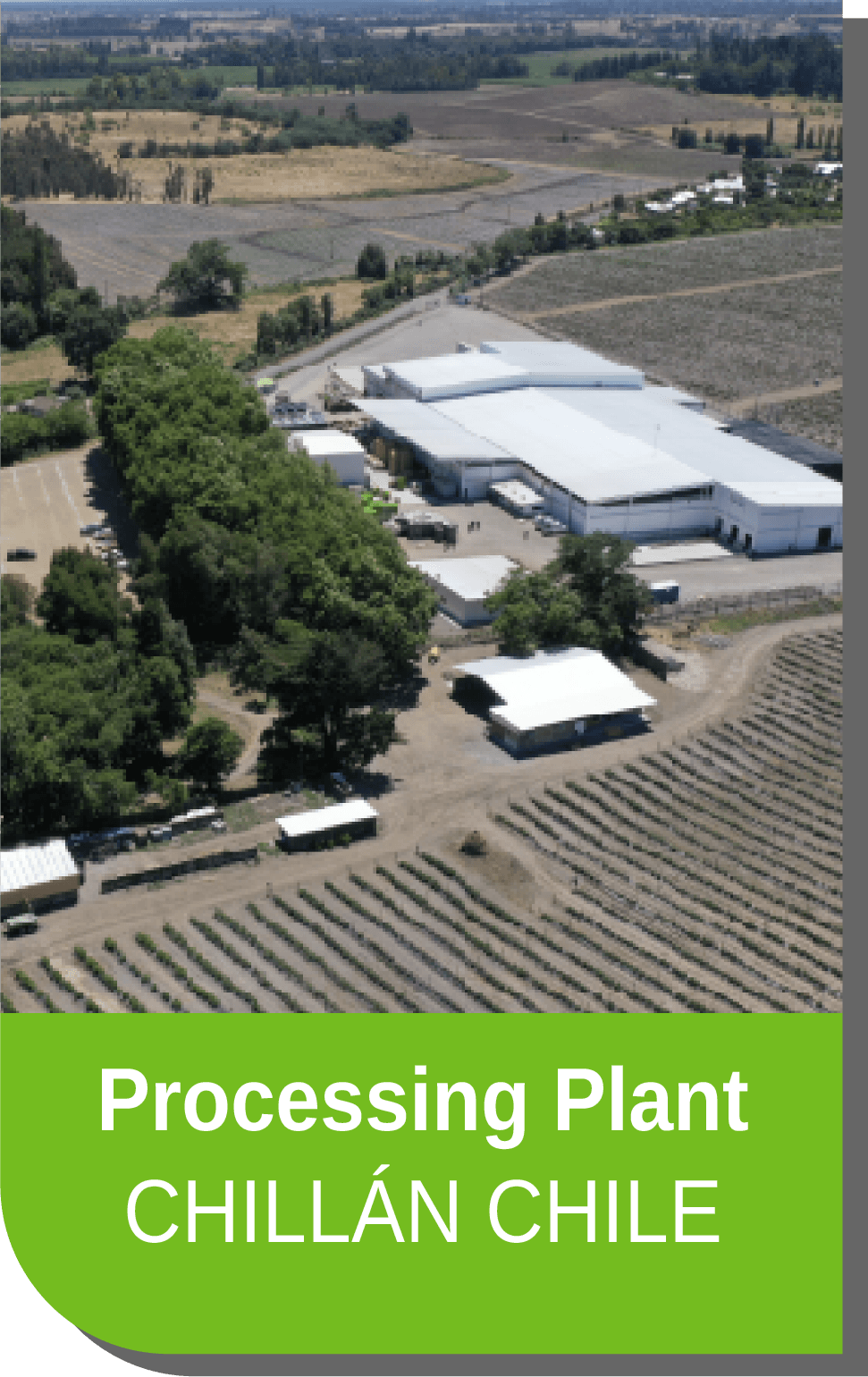 Central Frutícola 2