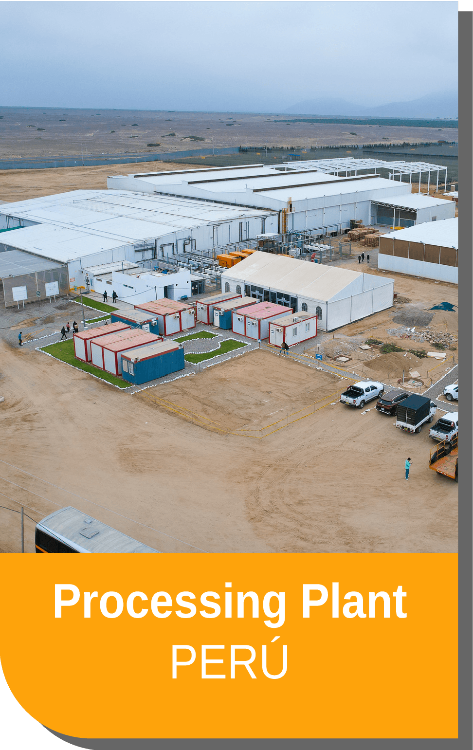 Central Frutícola 3