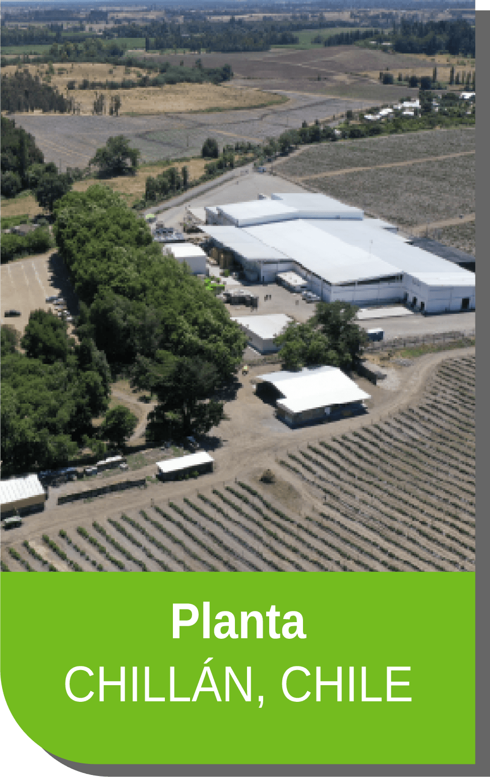 Central Frutícola 2