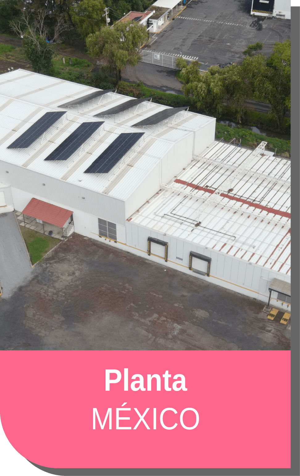 Central Frutícola 4