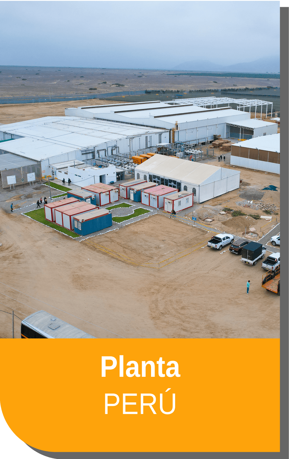 Central Frutícola 3