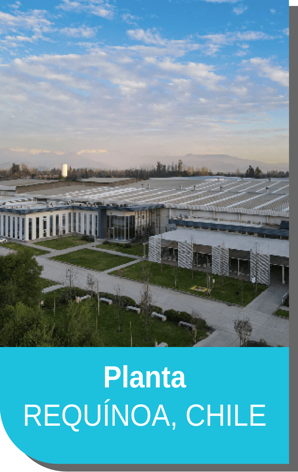 Central Frutícola 1