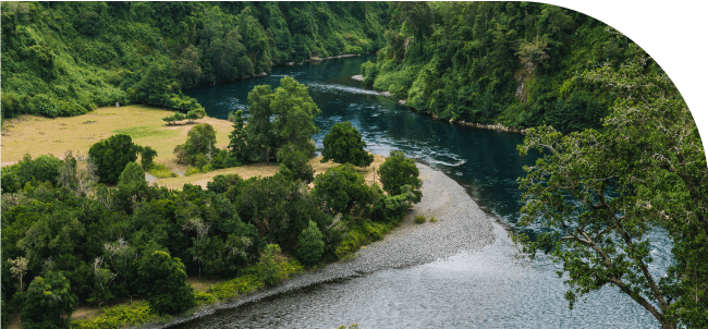 Imagen de compromiso